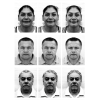 Left-Right-Faces